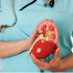 Tratamentul de remedii populare pielonefrite cronice