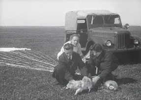 Laika spațiul de câine