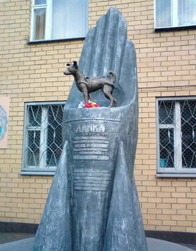 Laika spațiul de câine