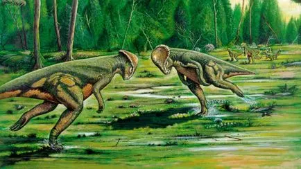 Cum au dinozaurii Cum au dinozaurii