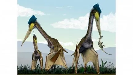 Cum au dinozaurii Cum au dinozaurii