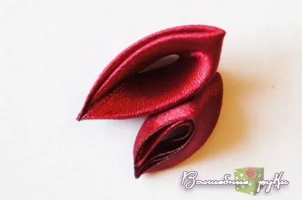 Cum de a face petalele benzilor Cum de a face petalele benzilor