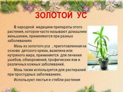 Rana uscata