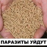 Ce să fac dacă nu câștiga în greutate