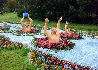 Cum de a face paturi de flori cu propriile lor mâini