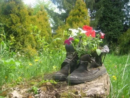 Cum de a face paturi de flori cu propriile lor mâini