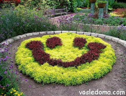 Cum de a face paturi de flori cu propriile lor mâini
