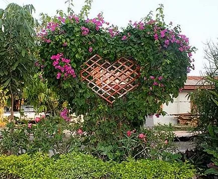 Cum de a face paturi de flori cu propriile lor mâini