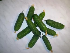 castravete Murashka