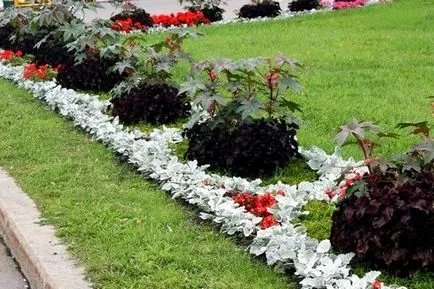 Cum de a face paturi de flori cu propriile lor mâini