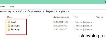 Ce AppData dosar