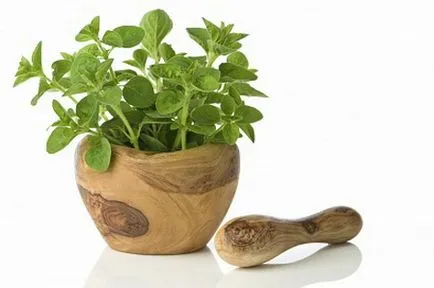 Ce este Oregano