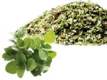 Ce este Oregano
