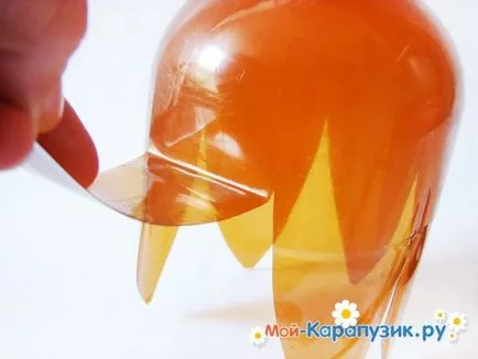 Cum sa faci palma unei sticle de plastic