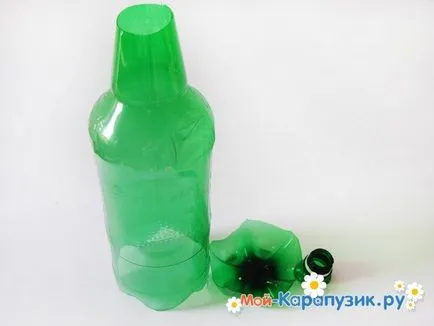 Cum sa faci palma unei sticle de plastic