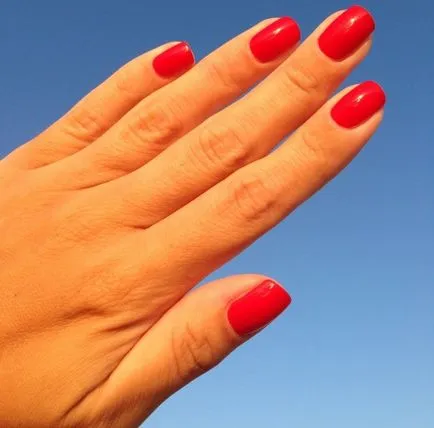 Max Factor Marturii