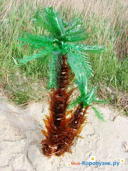 Cum sa faci palma unei sticle de plastic