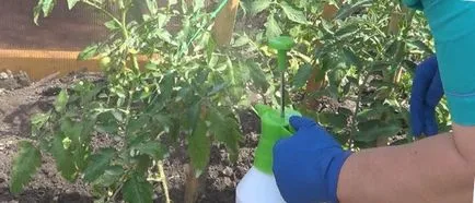 rotten Tomatoes