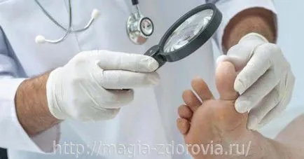 Cum o ciuperca Cum o ciuperca