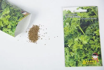 Cum de a planta patrunjel