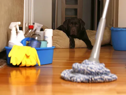 Cum cel mai bine să se mute din apartament Cum cel mai bine să se mute din apartament