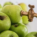 Care promovează arderea grasimilor Care promovează arderea grasimilor