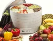 Răsaduri de tomate galben ce să facă Răsaduri de tomate galben ce să facă