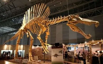 Cum au dinozaurii