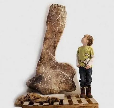 Cum au dinozaurii