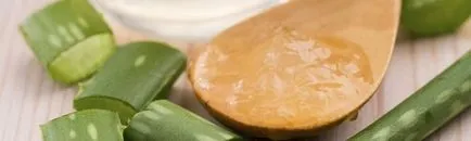 suc de aloe la domiciliu