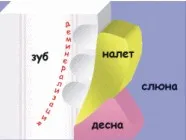 Ca format dinte