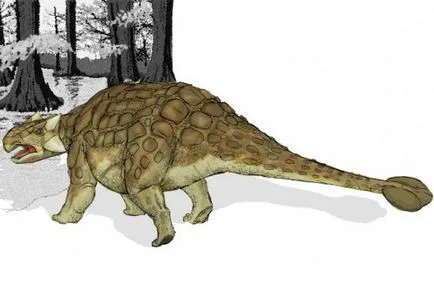 Cum au dinozaurii Cum au dinozaurii