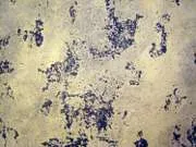 Stencil pentru tencuieli decorative Stencil pentru tencuieli decorative