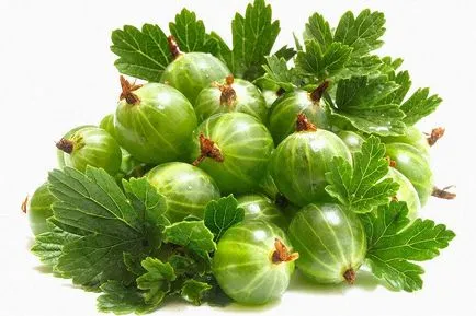 Tratamentul tuberculozei la domiciliu Tratamentul tuberculozei la domiciliu