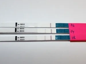 HCG sarcinii HCG sarcinii
