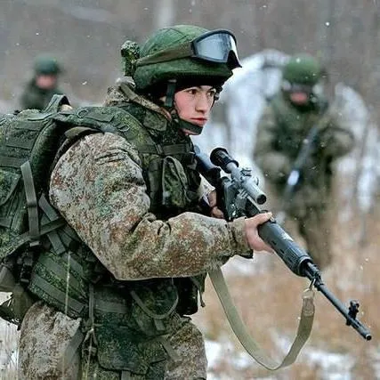 disciplina militară ce este disciplina militară ce este