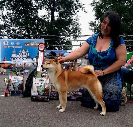expoziție Vserumynskaya de toate rasele de câini expoziție Vserumynskaya de toate rasele de câini