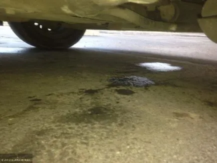 Renault forțe proprii Simbol