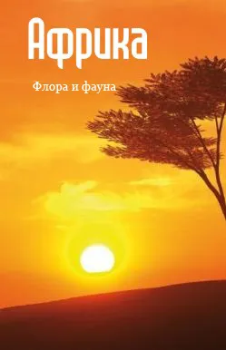Care crește în Africa