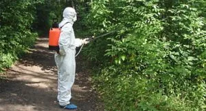 Atunci când căpușe sunt periculoase pentru câini Atunci când căpușe sunt periculoase pentru câini