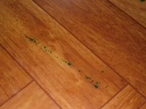 Linoleum exfoliant Linoleum exfoliant
