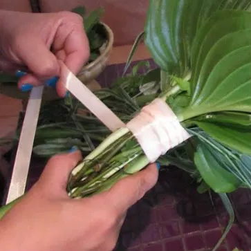 Cum de a colecta un buchet de flori Cum de a colecta un buchet de flori