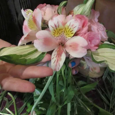 Cum de a colecta un buchet de flori Cum de a colecta un buchet de flori