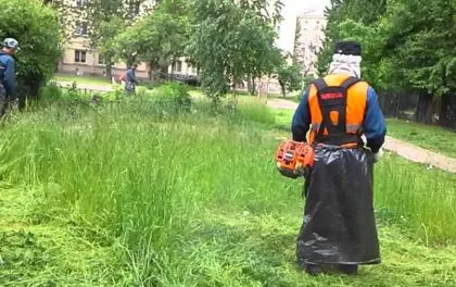 Atunci când căpușe sunt periculoase pentru câini
