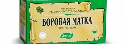 Borovaya uter ca ceai Borovaya uter ca ceai