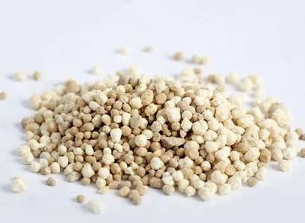 Cum de a fertiliza trandafirul