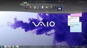 Ce este poarta vaio