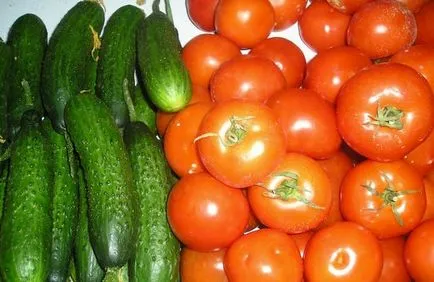 Acest lucru poate fi plantat cu roșii Acest lucru poate fi plantat cu roșii