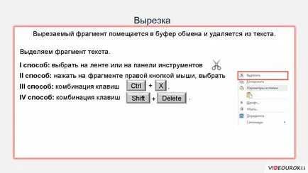 Ce este un fragment de document