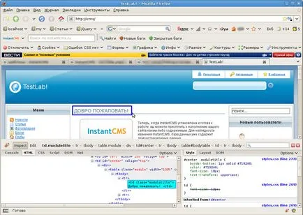 Ce este Firebug